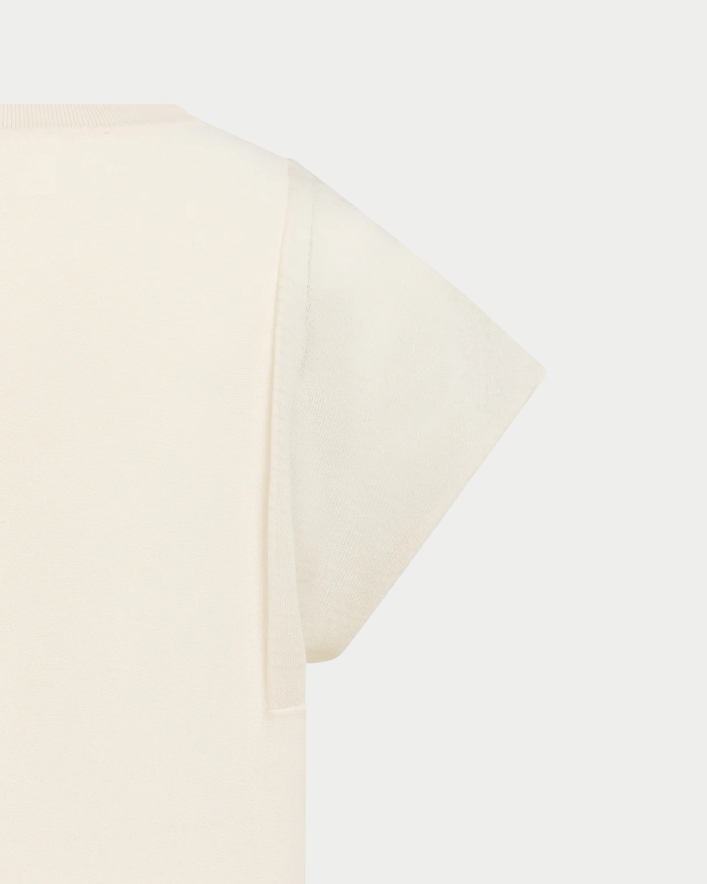 T-Shirt mit transparenten Kurzärmeln
