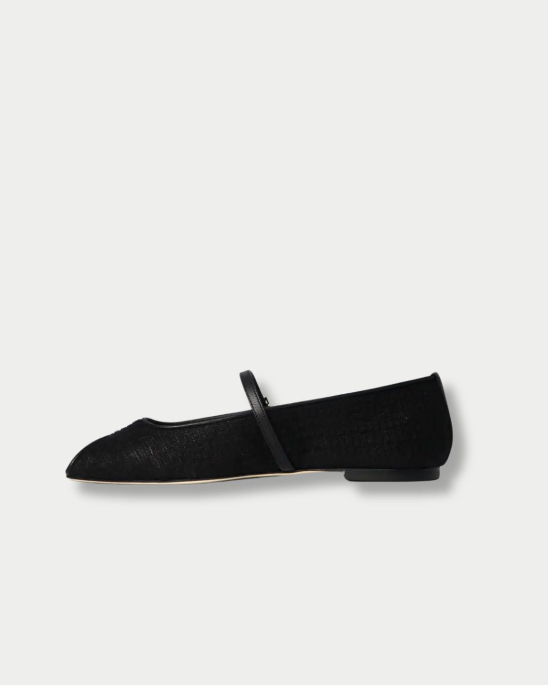Ballerina in Tulle Nera