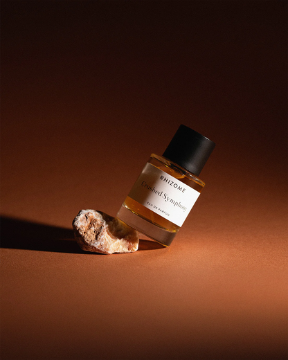 Eau de Parfum - Rhizome Crashed Symphony