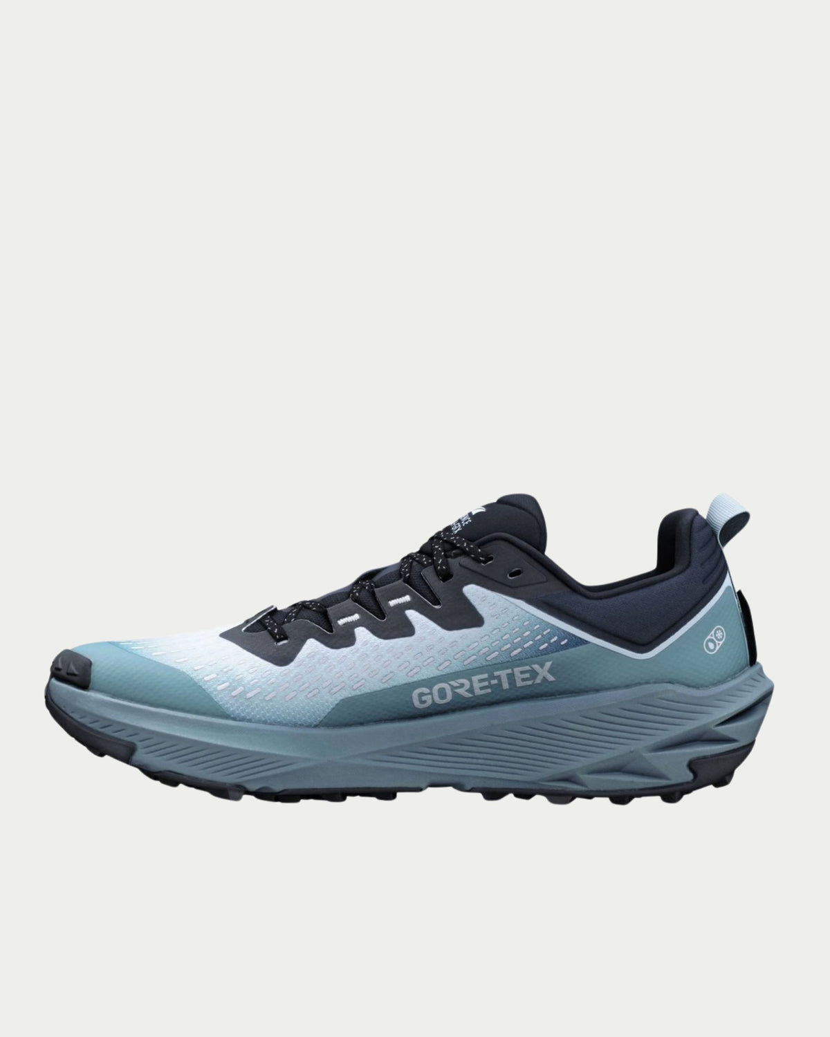 Sneakers Experience wild