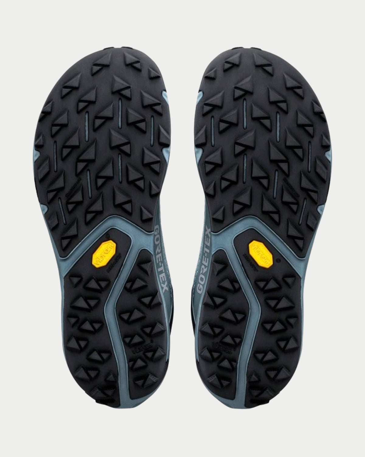 Sneakers Experience wild