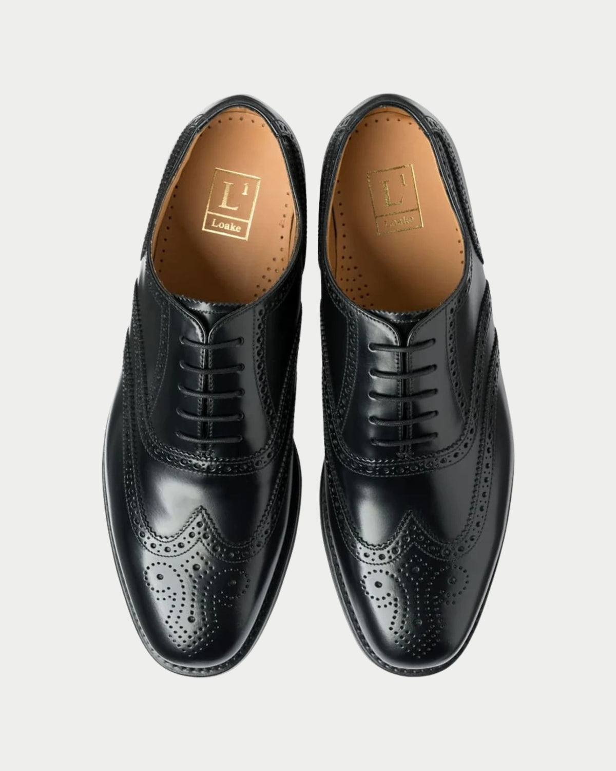 Scarpa Wingtip Brogue in pelle