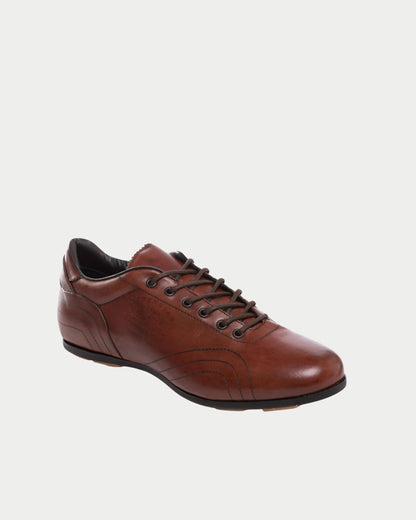 Sneakers Superstar harold