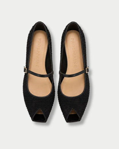 Ballerina in Tulle Nera